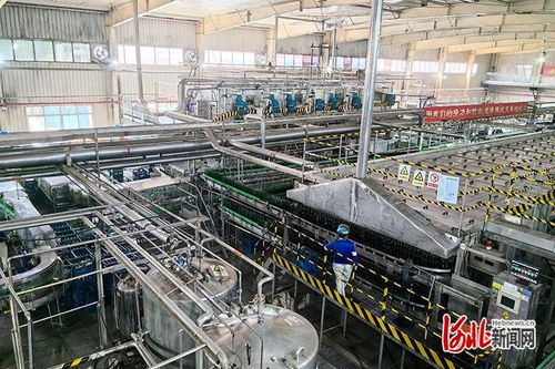 激發消費新活力 品質體驗燕趙行 活動 第二站走進滄州