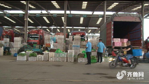 今日聚焦 山東匡山農產品綜合交易市場 嚴格 雙證 查驗 不合格農產品將就地銷毀